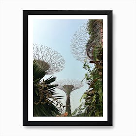 Gardens By The Bay Art Print