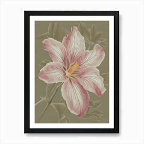 Pink Hibiscus Canvas Print Art Print
