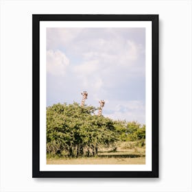 Kenya Giraffe Art Print