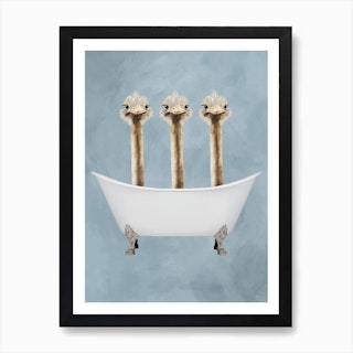 Ostriches In Bathtub Art Print