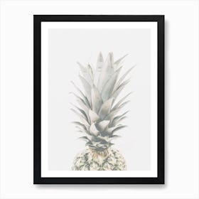 Pineapple Fruit Art Print