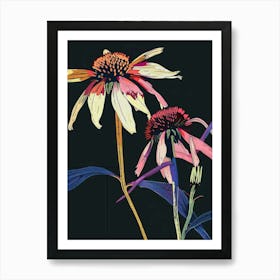 Neon Flowers On Black Coneflower 3 Art Print