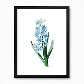 Vintage Dutch Hyacinth Botanical Illustration on Pure White n.0820 Art Print