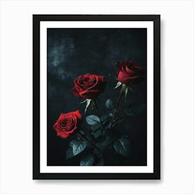 Three Red Roses On A Black Background Art Print