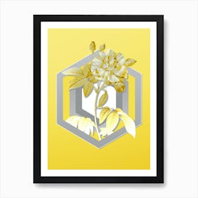 Botanical French Rosebush with Variegated Flowers in Gray and Yellow Gradient n.088 Art Print