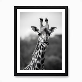 Portrait of a Giraffe Art Print