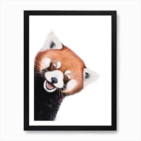 Red Panda Art Print