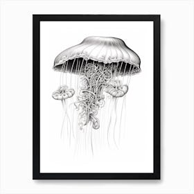 Comb Jellyfish Drawing 3 Art Print