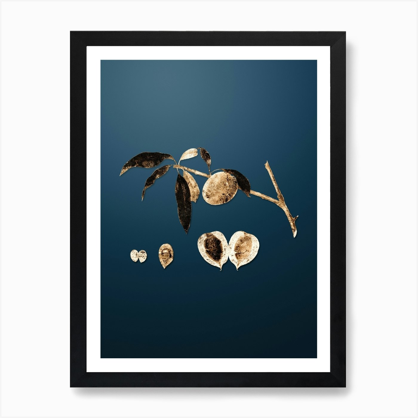 Gold Botanical Peach on Dusk Blue n.1530 Art Print