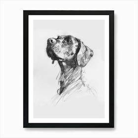 Hound Dog Charcoal Line 2 Art Print