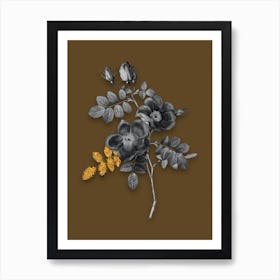 Vintage Austrian Briar Rose Black and White Gold Leaf Floral Art on Coffee Brown Art Print