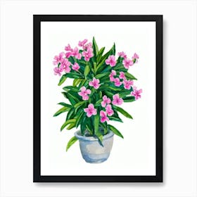 Oleander Plant (Nerium Oleander) Watercolor Art Print