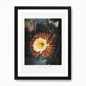 Vintage Botanical Temple Of Flora _2476836 Art Print