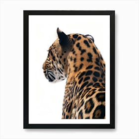 Jaguar 9 Art Print