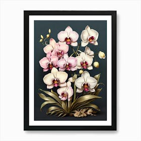 Orchids Flower Illustration Art Print 2 Art Print