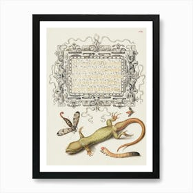 Scorpionfly, Insect, Lizard, And Insect Larva From Mira Calligraphiae Monumenta, Joris Hoefnagel Art Print