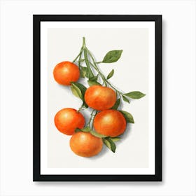 Tangerines Art Print