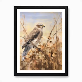 Bird Painting Eurasian Sparrowhawk 3 Art Print