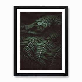 Fern Art Print