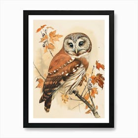Northern Saw Whet Owl Vintage Illustration 4 Art Print