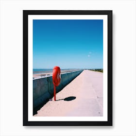 Run Along The Beach Art Print