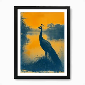 Orange & Blue Vintage Peacock In The Water 3 Art Print