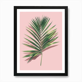 Palm Leaf On Pink Background 2 Art Print