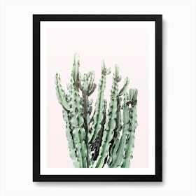 Blush Cactus Art Print