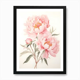 Pink Peonies 6 Art Print