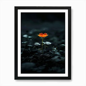 Single Flower In The Dark 101 Art Print