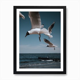 Birds Art Print