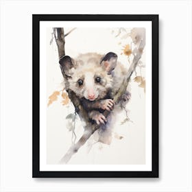 Light Watercolor Painting Of A Hanging Possum 2 Art Print
