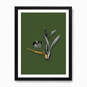 Vintage Clamshell Orchid Black and White Gold Leaf Floral Art on Olive Green n.0940 Art Print
