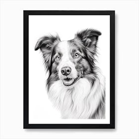 Border Collie Dog, Line Drawing 3 Art Print