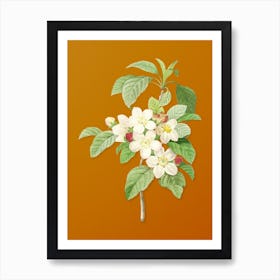 Vintage Apple Blossom Botanical on Sunset Orange n.0475 Art Print