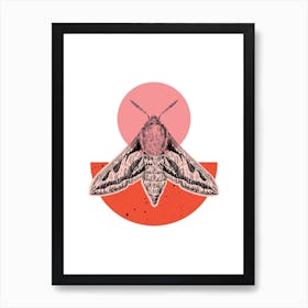 Pink Colour Block Hawk Moth Art Print
