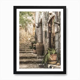 Idyllic view of mediterranean house with potted plant decoration Art Print