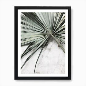 Palm Leaf On Marble 1 Art Print