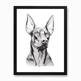 Doberman Pinscher Dog, Line Drawing 2 Art Print