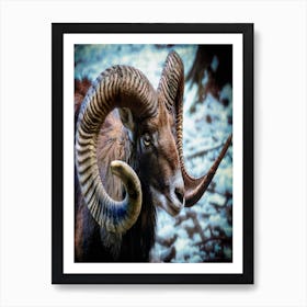 Horned Ram Art Print