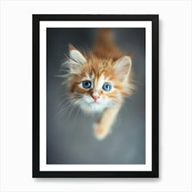 Kitten With Blue Eyes Art Print