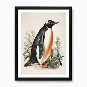 Adlie Penguin Fernandina Island Vintage Botanical Painting 2 Art Print