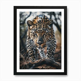 Leopard In The Forest Art Print