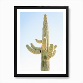 Desert Single Cactus Art Print