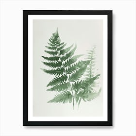 Green Ink Painting Of A Pteris Fern 1 Art Print