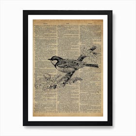 Sparrow Bird Art Print