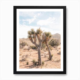 Desert Twin Joshua Tree Art Print