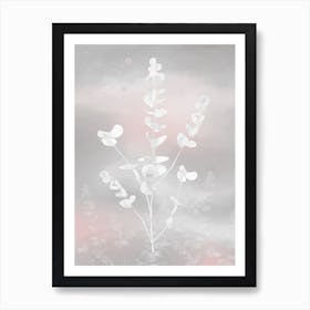 White Frozen Eucalyptus  Botanical Photography Art Print