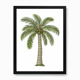 Palm Tree 31 Art Print