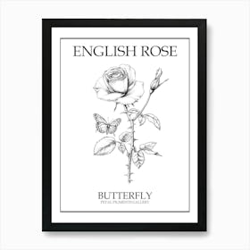 English Rose Butterfly Line Drawing 1 Poster Art Print